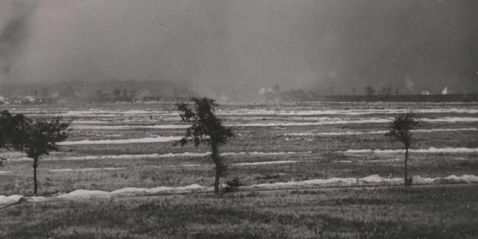 Dujos per Looso mūšio lauką, 1915 m.