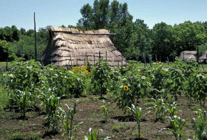 Trijų seserų sodas