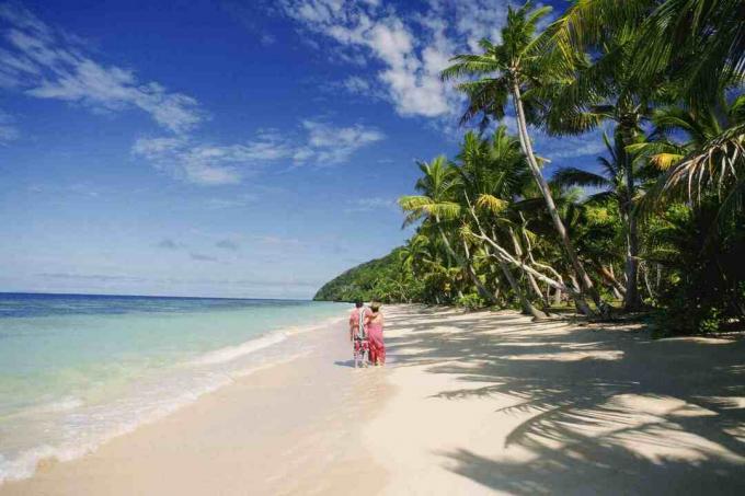 Du žmonės, stovintys paplūdimyje, Fidžis