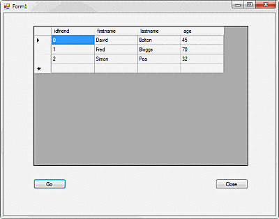 C # programos, kurioje rodomi „SQLite“ duomenys, ekrano kopija