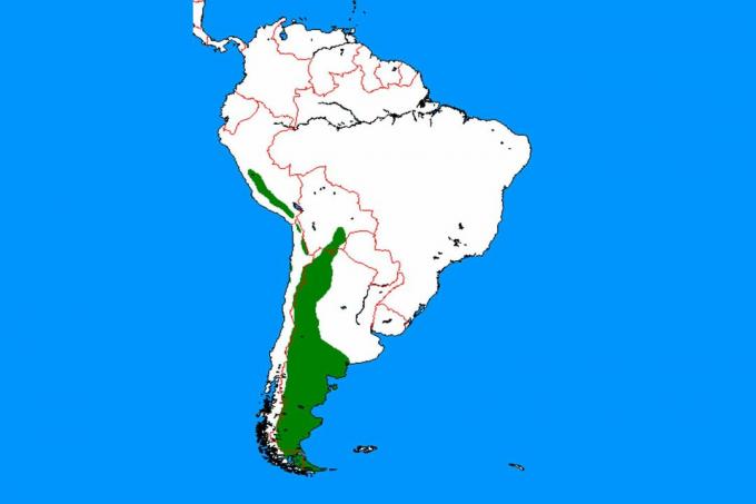 Gvanako diapazono žemėlapis