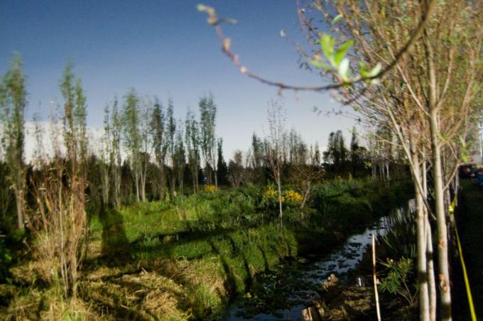 „Chinampa“ lauko scena, „Xochimilco“