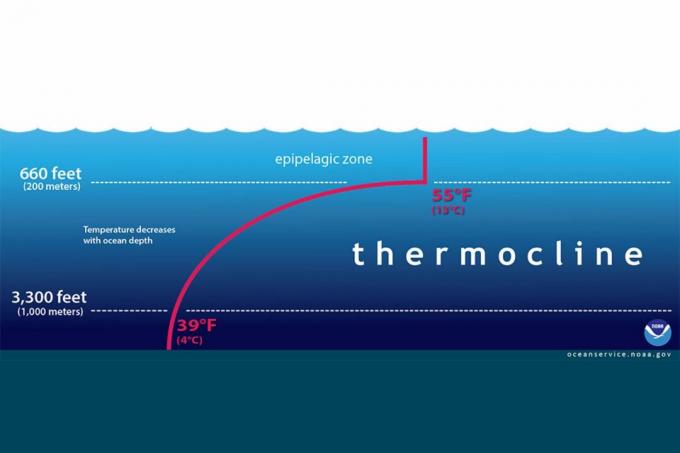 Termoklinas