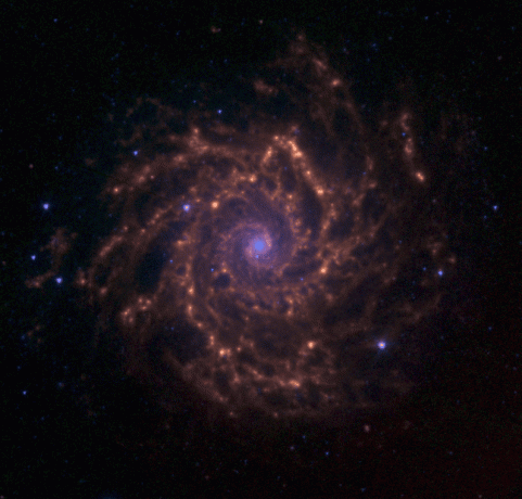 „Galaxy M74“ Žuvyse