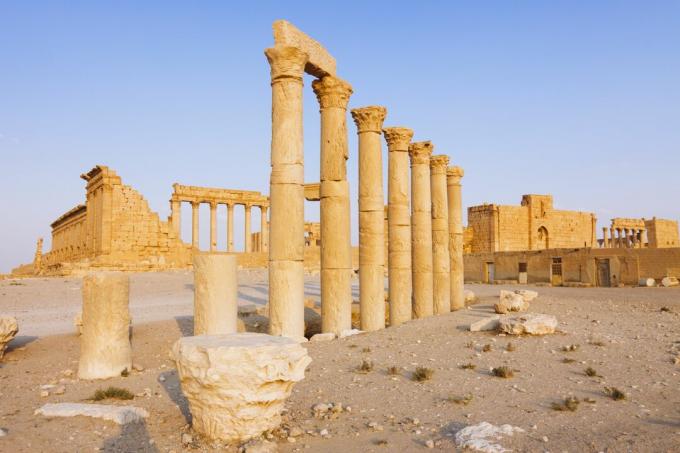 Palmyra, Didžioji kolonada ir Belo šventykla