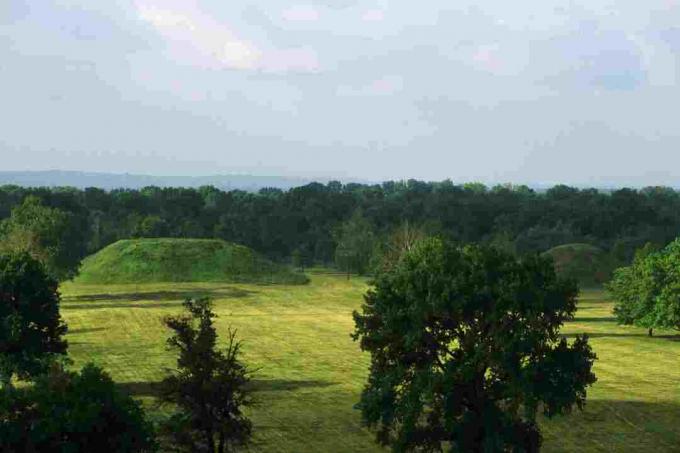 Cahokia piliakalnių valstybinė istorinė vieta