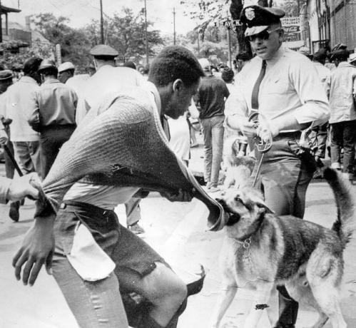 1963 m. gegužės 4 d. Birmingame, Alabamos valstijoje, per demonstracijas prieš segregaciją policijos šuo užpuolė juodaodį amerikiečių protestuotoją.