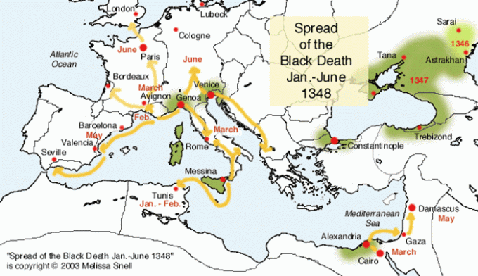 Juodosios mirties plitimas 1348 m. Sausio – birželio mėn