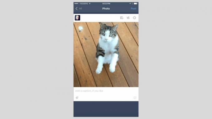 „Tumblr“ programos, skirtos „iOS“, ekrano kopija.