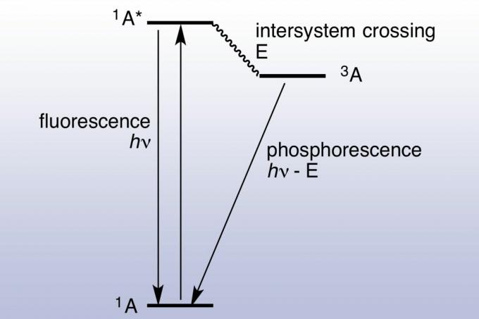 Jablonskio schema