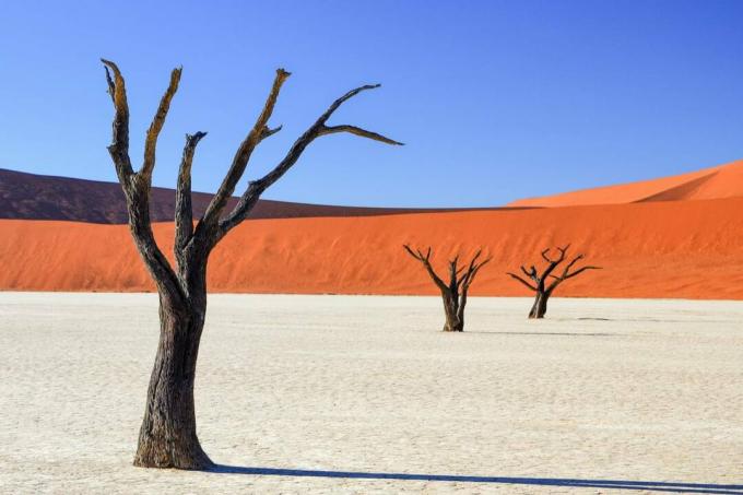 Negyvosios Vlei Namib dykuma