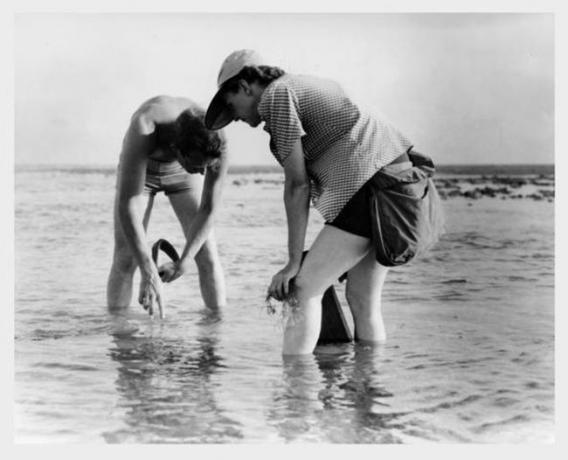 Rachel Carson ir Bob Hines, atliekantys jūrų biologijos tyrimus Floridoje