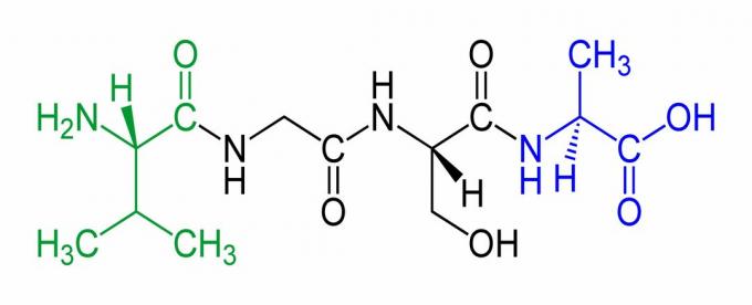 Tai yra tetrapeptido, kurio N-galas yra žalias, o C-galas yra mėlynas, pavyzdys.