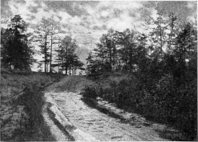 Vieta, kur buvo sugautas Aaronas Burras, netoli Veikfildo, Alabamos valstijoje.
