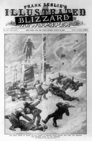 Didysis pūga, kaip pavaizduota iliustruoto žurnalo viršelyje 1888 m. Kovo mėn.