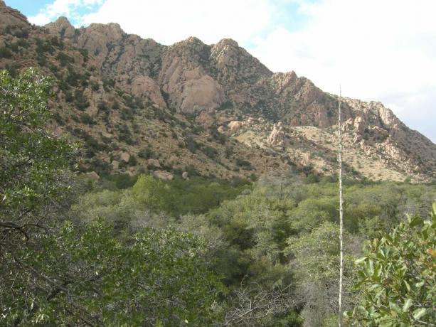 Cochise'o rytinė tvirtovė, Dragūnų kalnai, Arizonos pietryčių regionas.