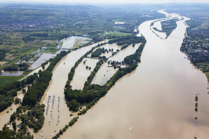 Vokietija, Hesenas, Eltvilis, Reino salos Koenigskling Aue užtvindymas, oro nuotrauka