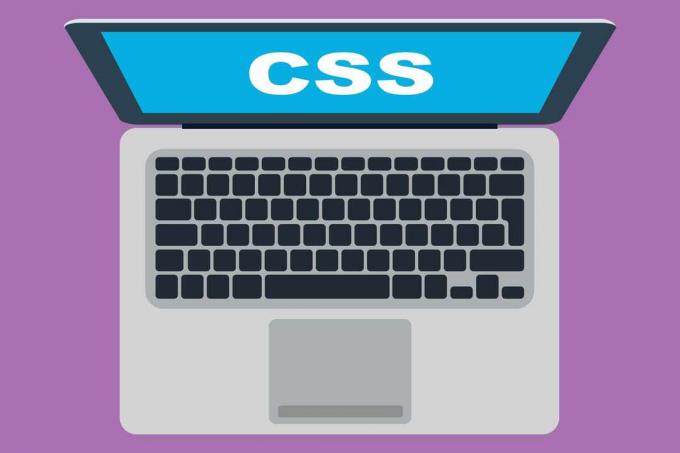 Nešiojamas kompiuteris su CSS žodžiu ekrane